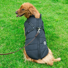 Dog Puffer Jacket with Integrated Cotton