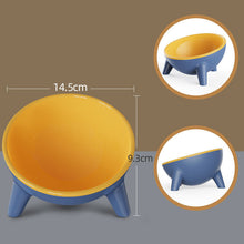 Cat Dog Feeding Bowl With Stand