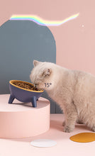 Cat Dog Feeding Bowl With Stand