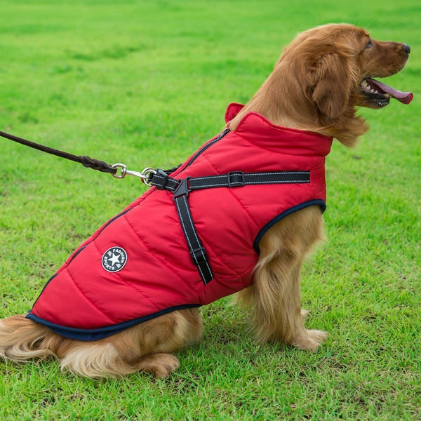 Dog Puffer Jacket with Integrated Cotton