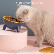 Cat Dog Feeding Bowl With Stand