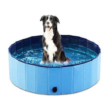 Portable Dog Swimming Pool for Outdoor Fun and Bathing