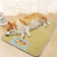 Pet Mat Ice Cool Grass Mat