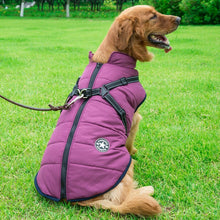 Dog Puffer Jacket with Integrated Cotton