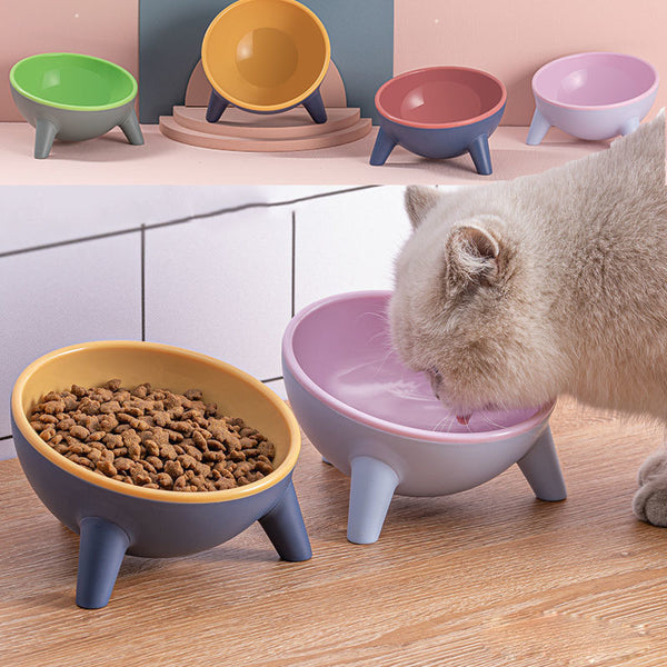 Cat Dog Feeding Bowl With Stand