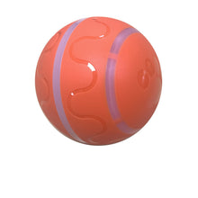 Interactive Pet Cat Wicked Ball Toy – Stimulating Fun & Exercise for Indoor Cats