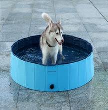 Portable Dog Swimming Pool for Outdoor Fun and Bathing