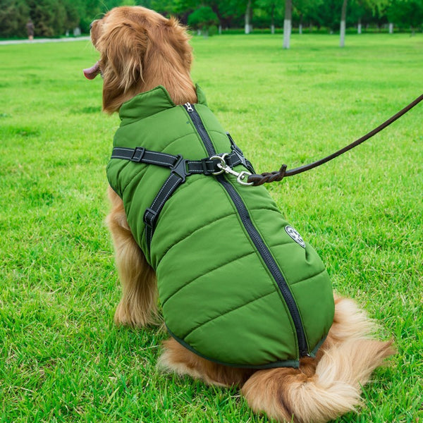 Dog Puffer Jacket with Integrated Cotton