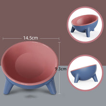 Cat Dog Feeding Bowl With Stand